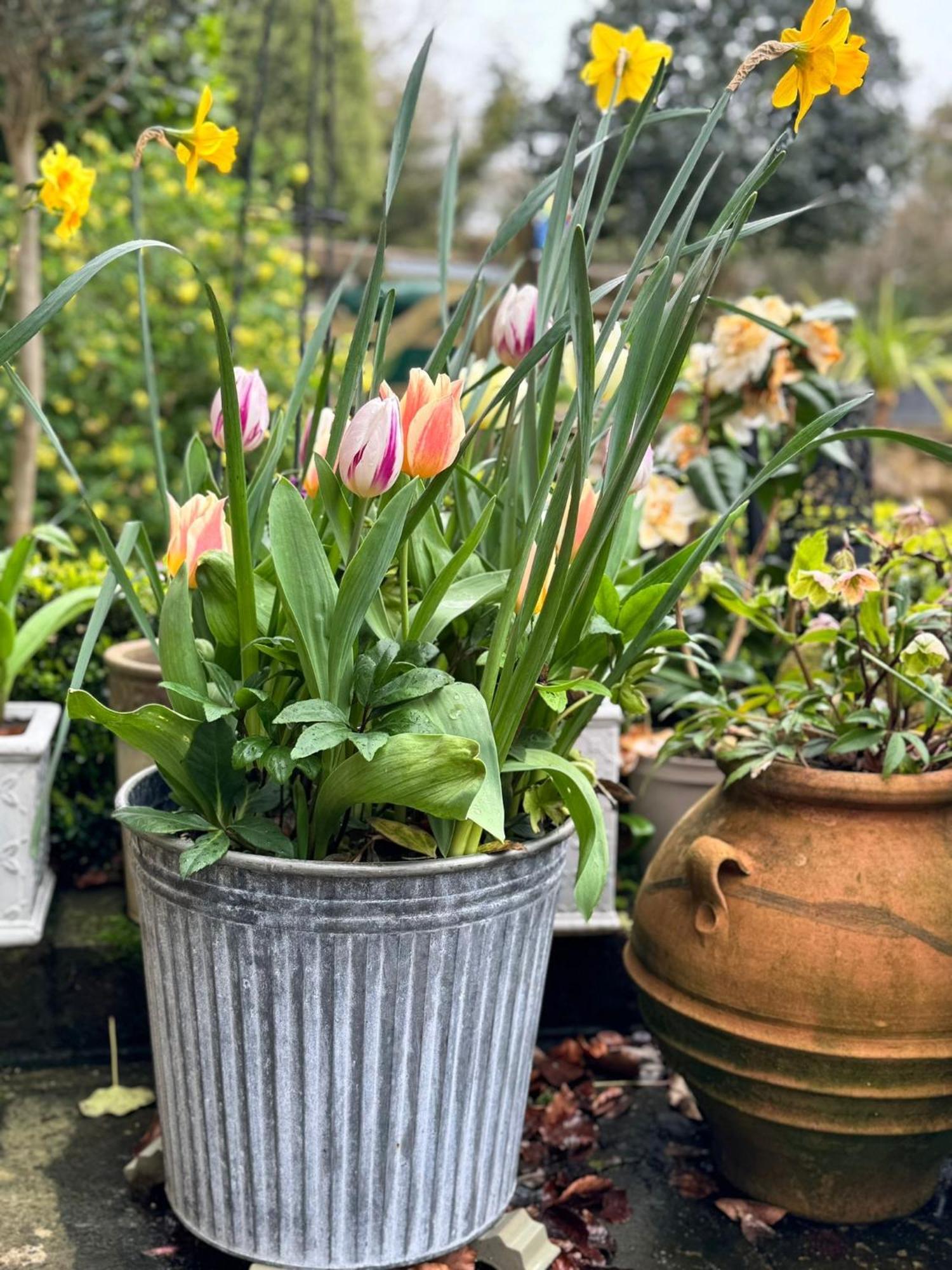 'Bramley Fall Cottage' ' On Site Ev Point - Attached Cottage,3 Separate Bedrooms -1 On Ground Level, Sleeps 6, 2 Bathrooms, Sandy Wittering Beach 8Min Drive, Rural Location, Child Friendly, Small Breed Dog Friendly, Private Parking Chichester Bagian luar foto